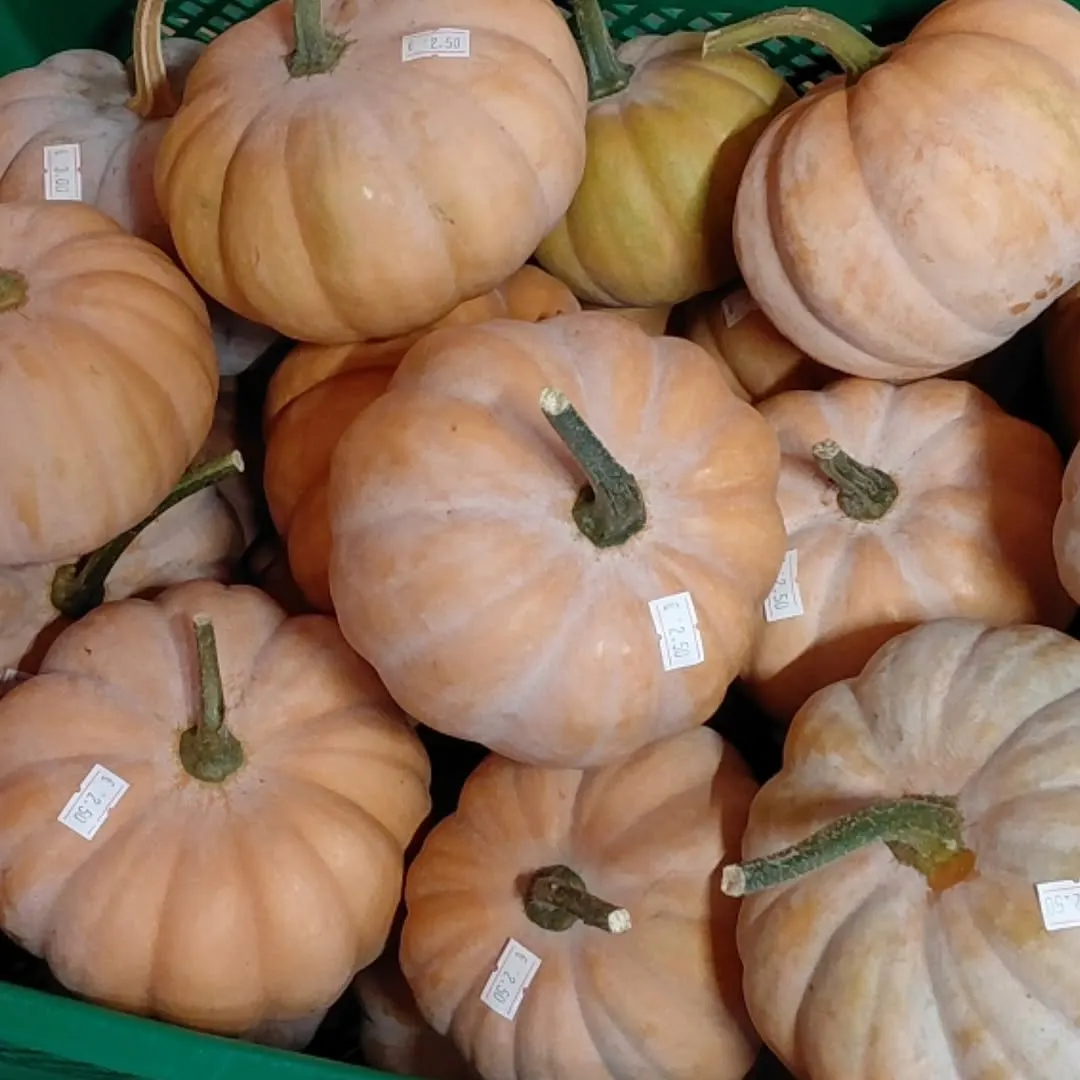 Foto aus einem Instagram-Beitrag von Gemüseliebe, 16. September 2026