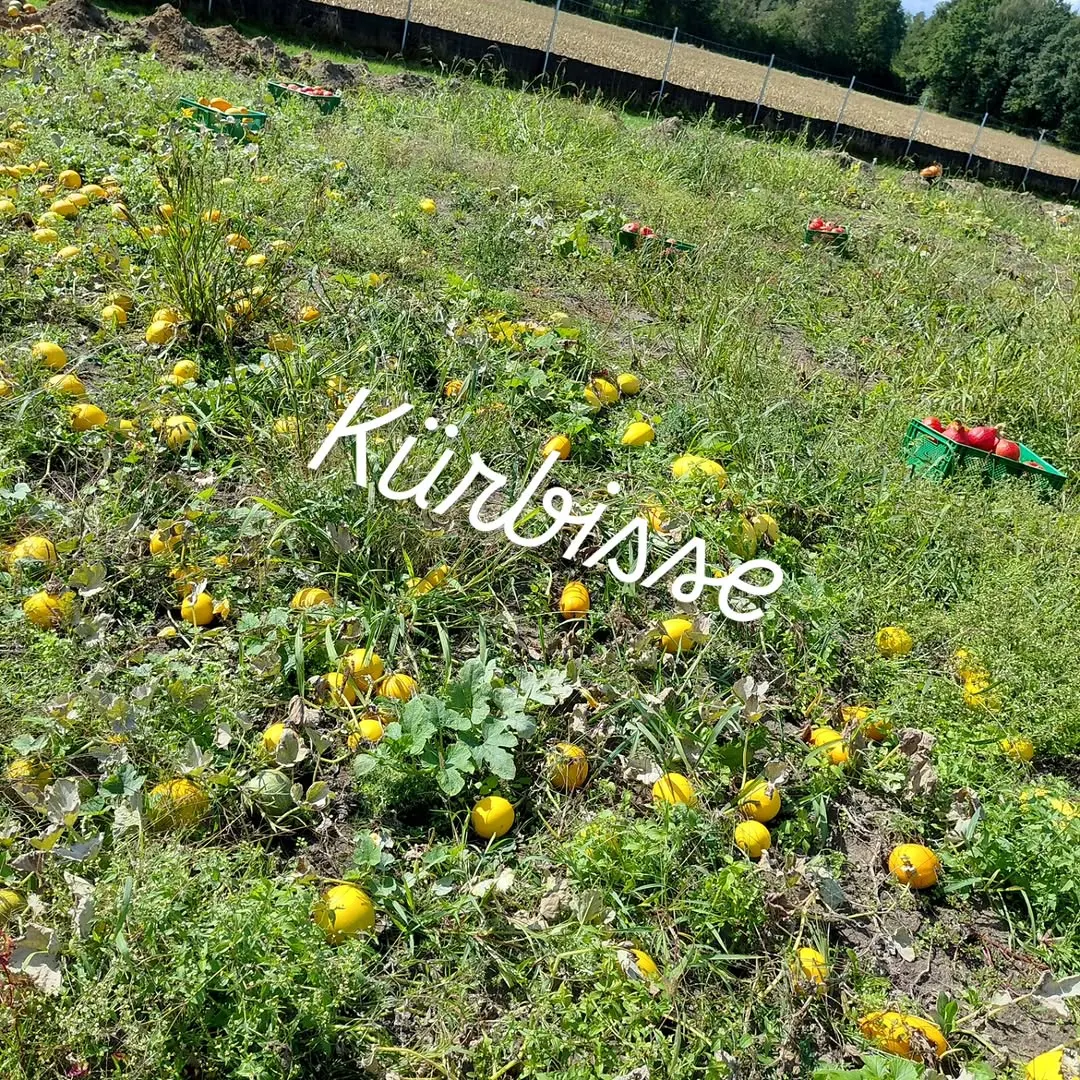 Foto aus einem Instagram-Beitrag von Gemüseliebe, 16. September 2026