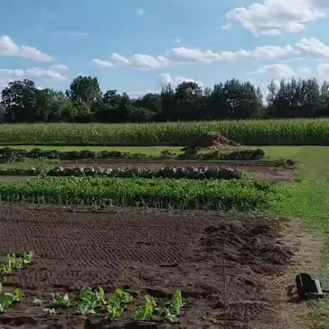 Blick über unsere Beete und Folientunnel